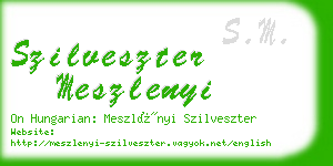 szilveszter meszlenyi business card